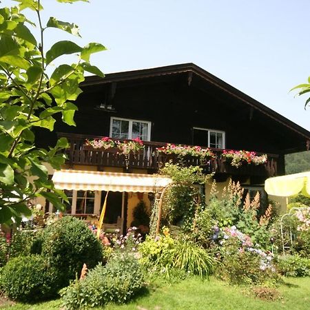 Appartement Am Schilift سانكت جيلجن المظهر الخارجي الصورة