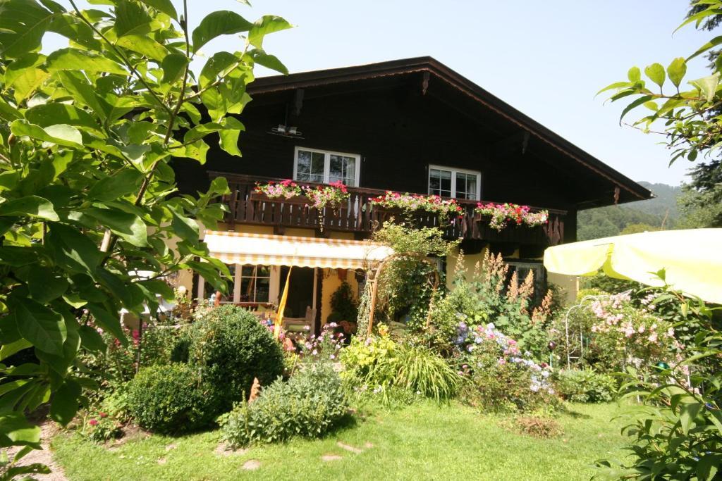 Appartement Am Schilift سانكت جيلجن المظهر الخارجي الصورة