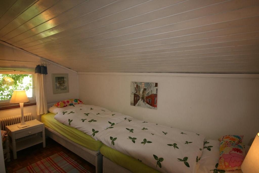 Appartement Am Schilift سانكت جيلجن المظهر الخارجي الصورة