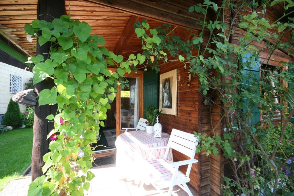 Appartement Am Schilift سانكت جيلجن المظهر الخارجي الصورة